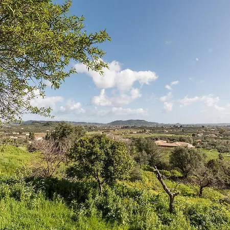 Mika'S Valley View House Langadhakia Exterior photo